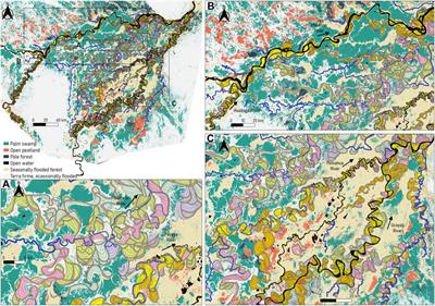 Free and underfit-scavenger river dynamics dominate the large Amazonian Pacaya-Samiria wetland structure